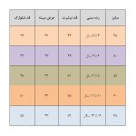 ست تی شرت و شلوارک دخترانه مدل خرگوش
