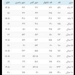 ست تی شرت و سرهمی دخترانه لوپیلو مدل SMB243
